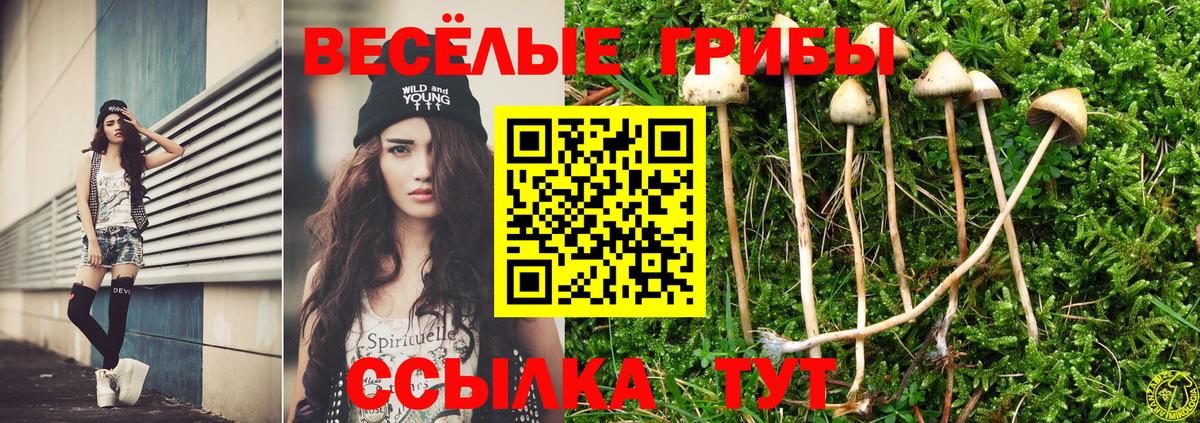 Мыски  Псилоцибиновые грибы Magic Shrooms  Вход с VPN 